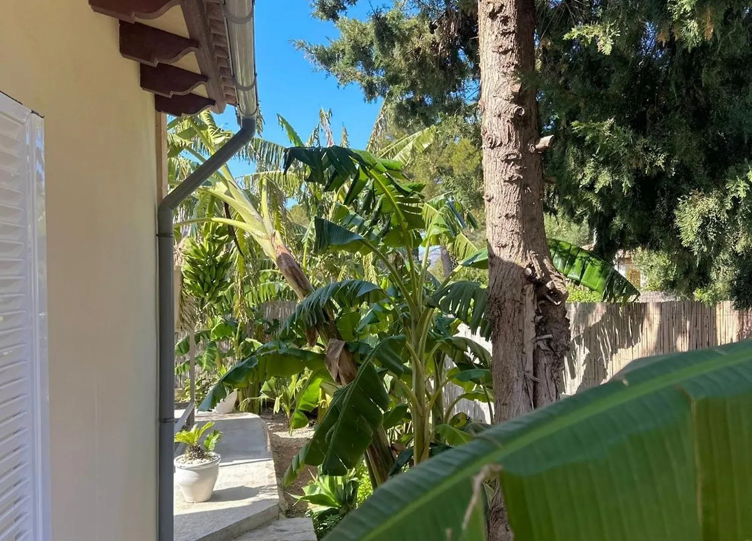 Bonaire Beach House アルクディア 別荘